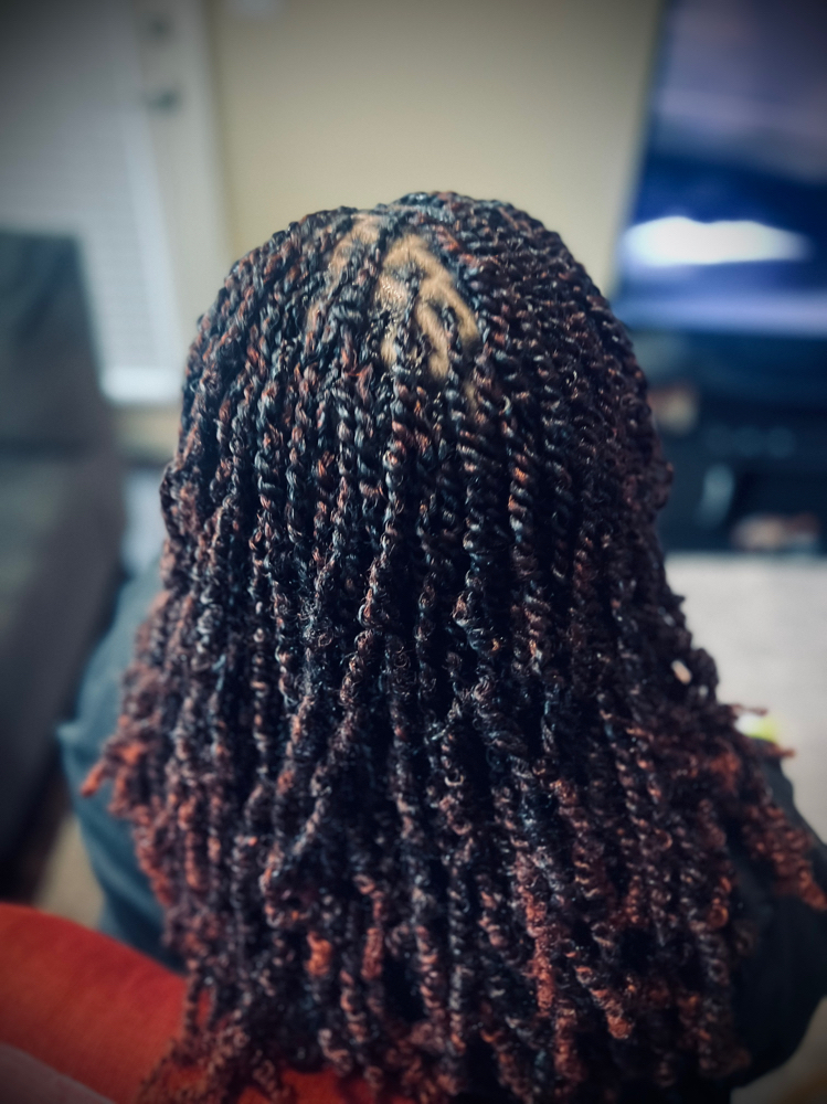 Spring Twist (small)