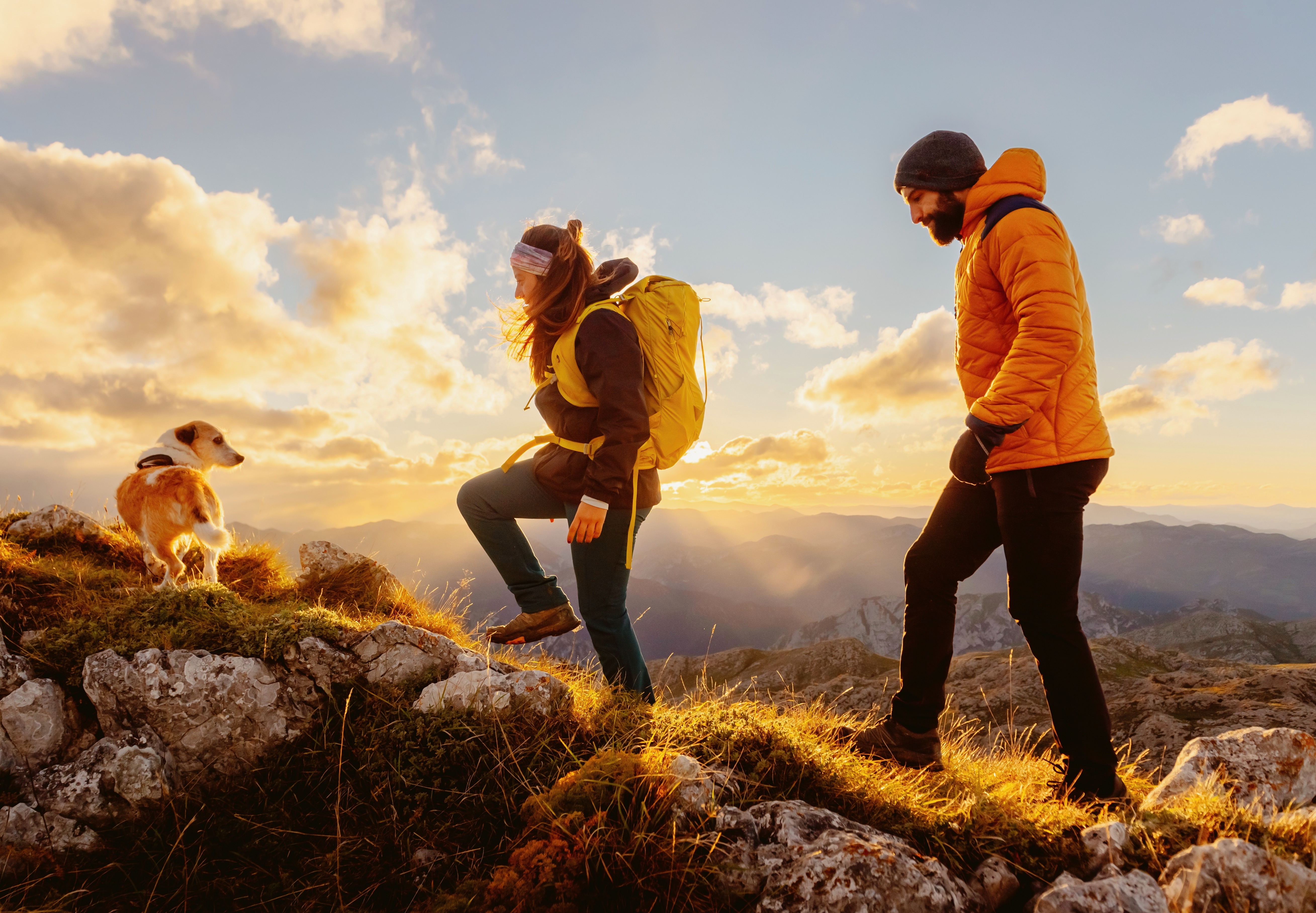 NAD+ Injection 100 mg