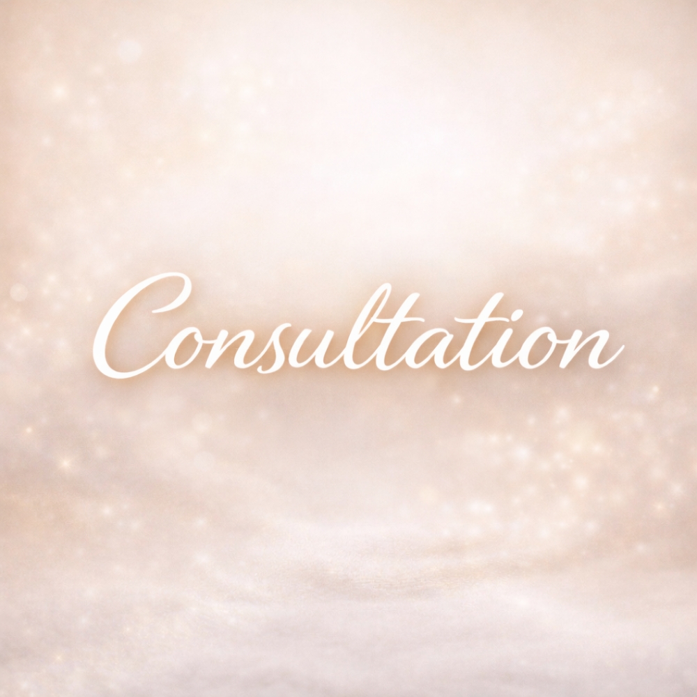 Consultation at Sculpthaus in Islip, NY