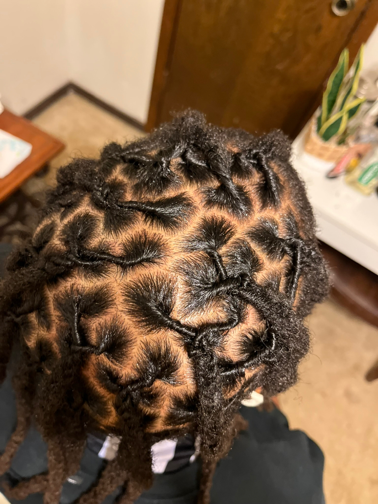 Wash Retwist & Style