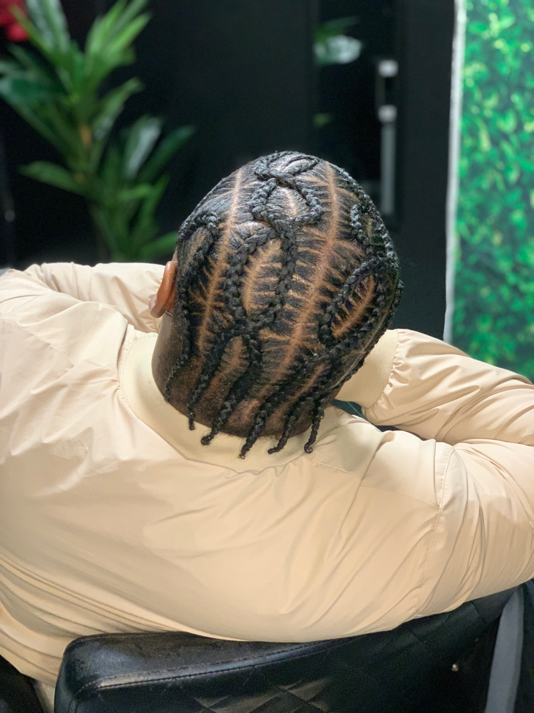 Mens Design Braids Or Freestyle