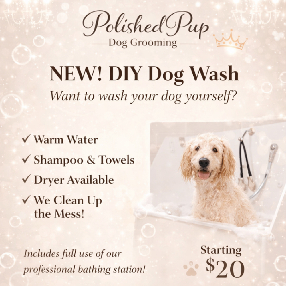 DIY Dog Wash at Polished Pup in Larose, LA