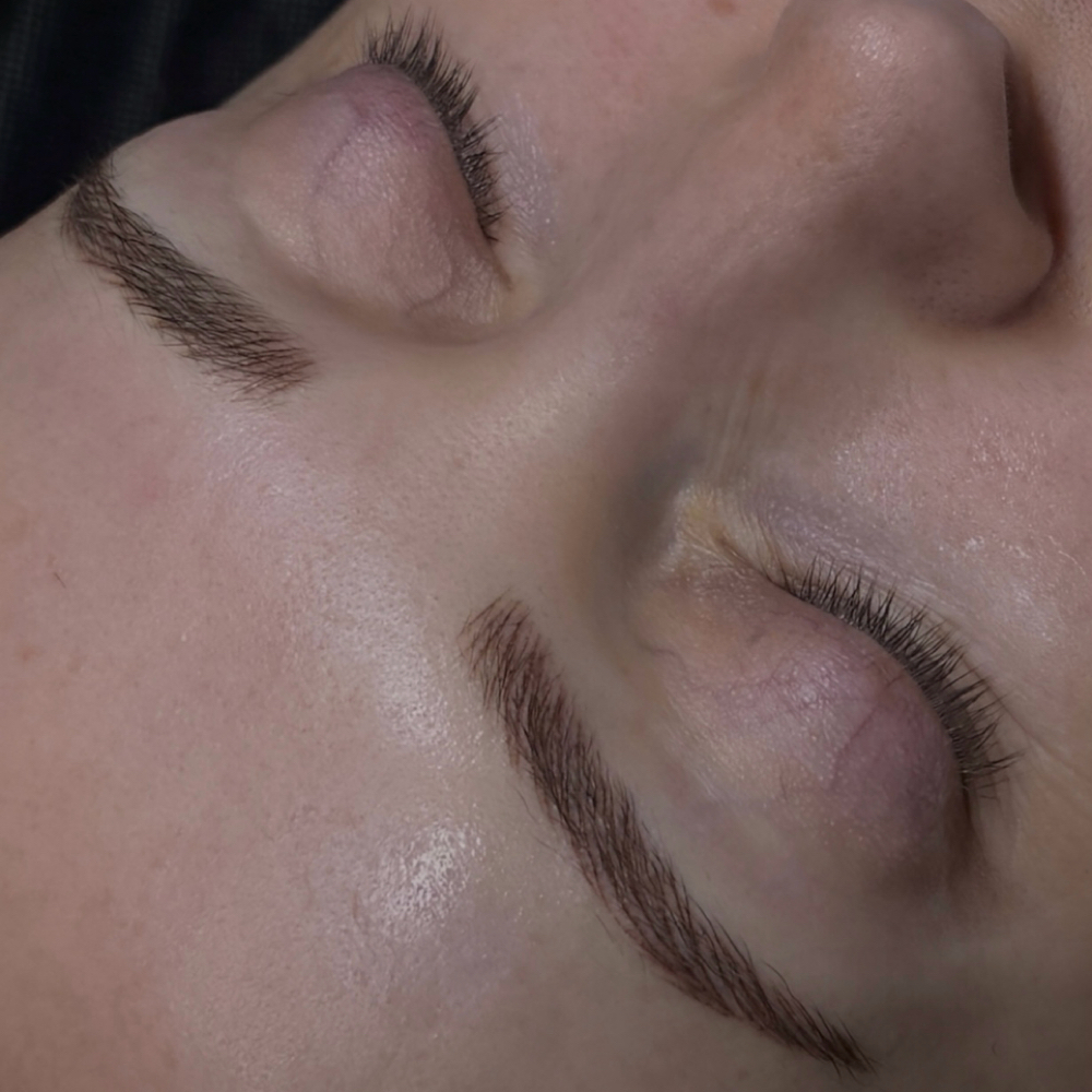 Brow Refresh-RETURNING CLIENTS ONLY at Magic Mirror Beauty Studio in Germantown, TN