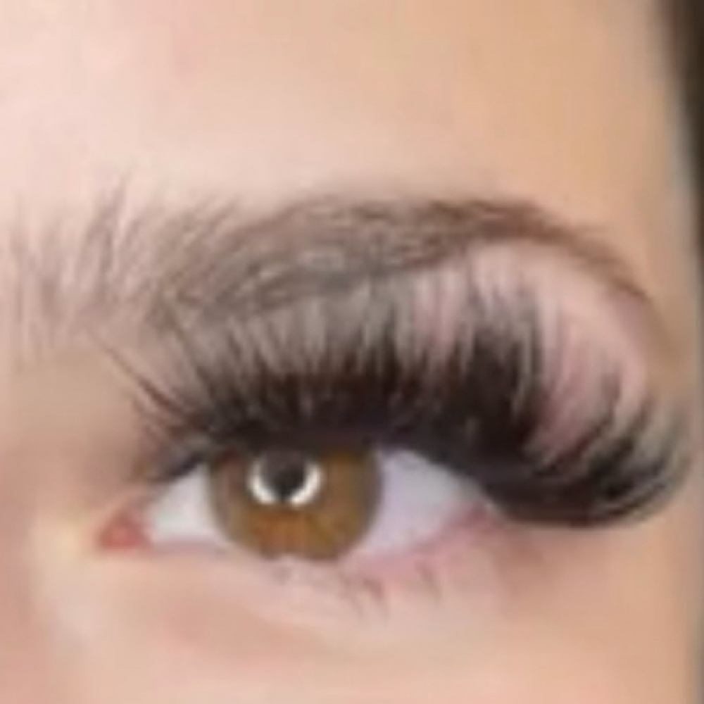 Mink Lash Extensions Refill at Waxed Skyn in Cincinnati, OH