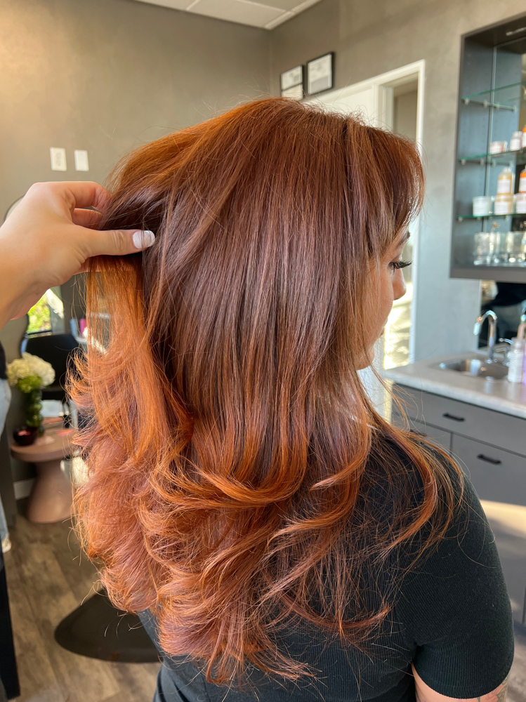 Root Touch Up
