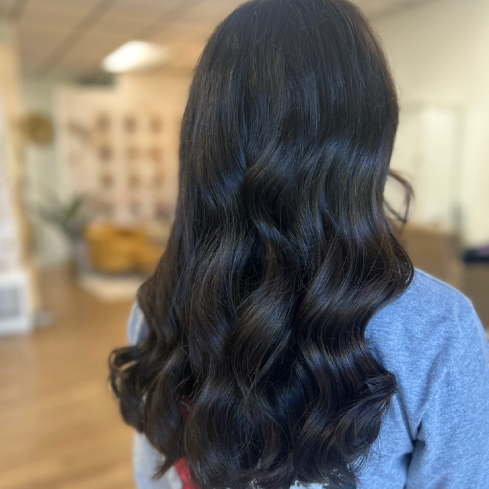 Root Touch-up at Whitney Johnson in Port Charlotte, FL