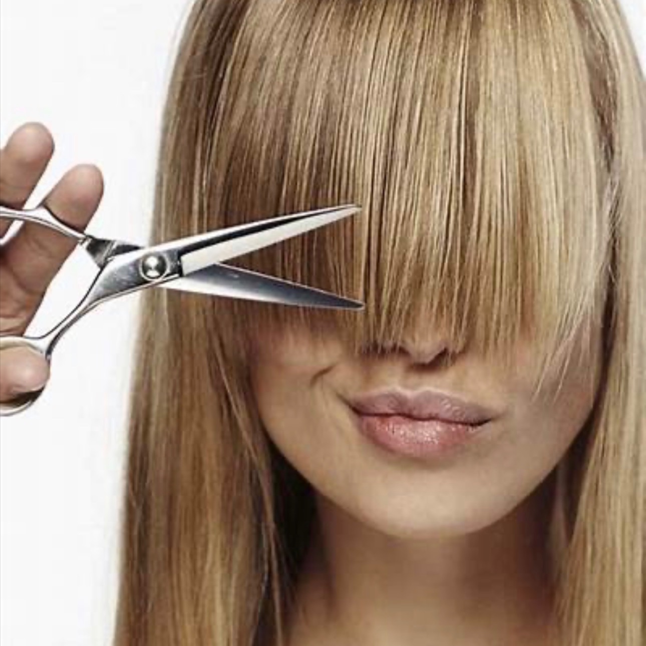 Bang Trim & or Neck trim at AO Studio & Co. in Hayward, WI