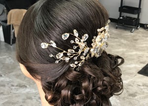 Special Ocassion Hair Style