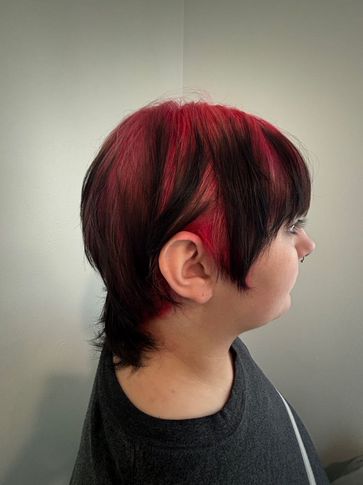 Four Hour Color at SUITE 303 in Omaha, NE