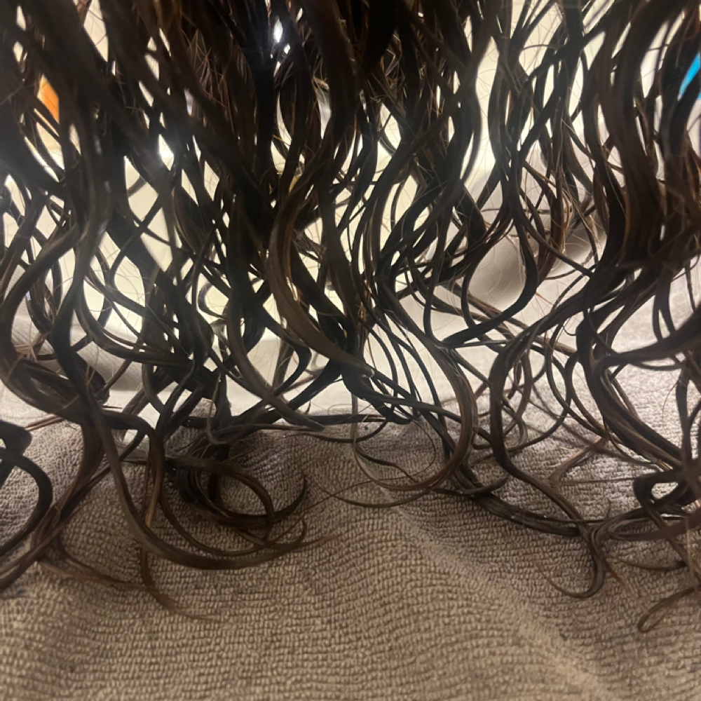 Curly Styling Education at The Paisley Lily Curly Salon in Valparaiso, IN