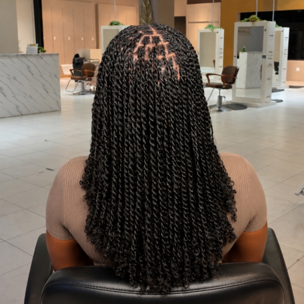SMALL MINI TWIST at Braids By Titi in Bowie, MD