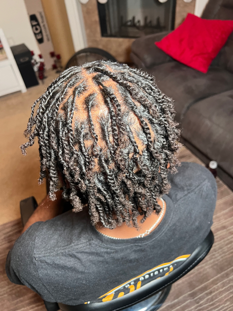 Starter Locs
