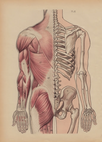 Structural Mini Therapy