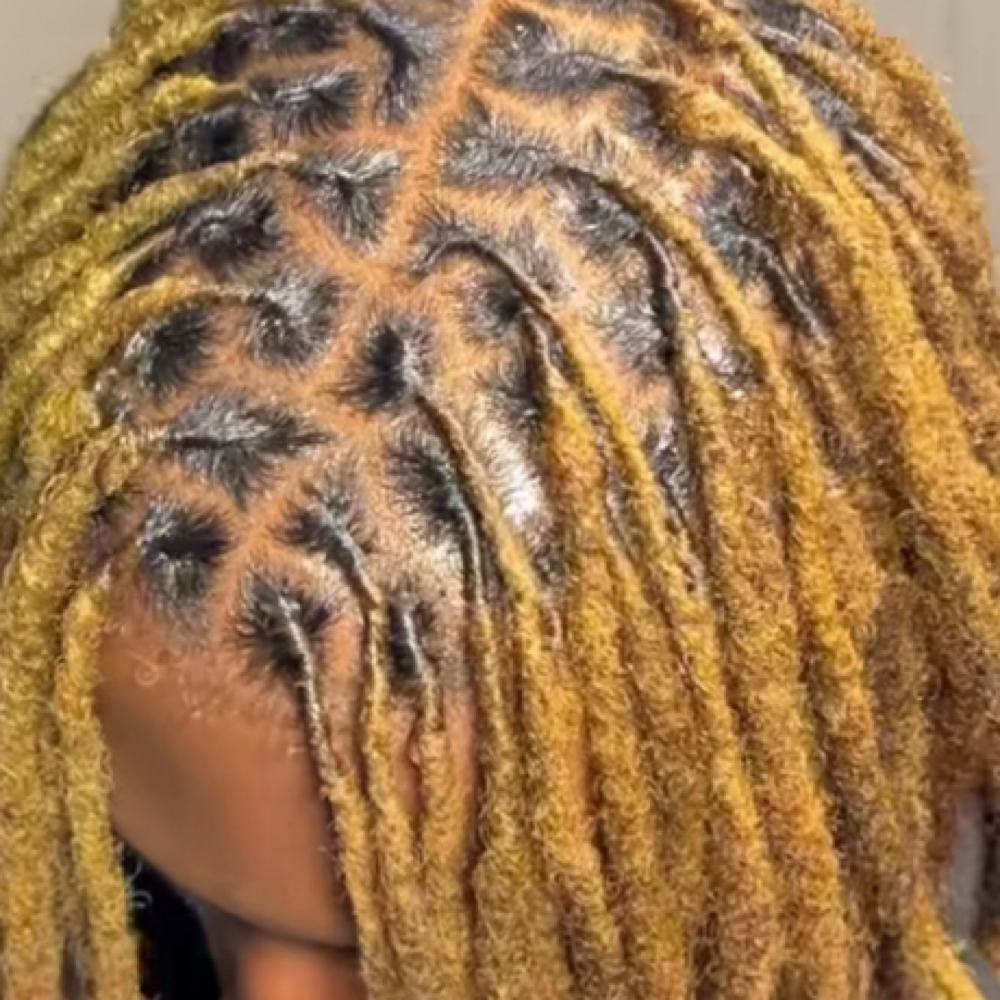 Dreadlocks Retwist at Yunis hair braiding in Belleville, MI