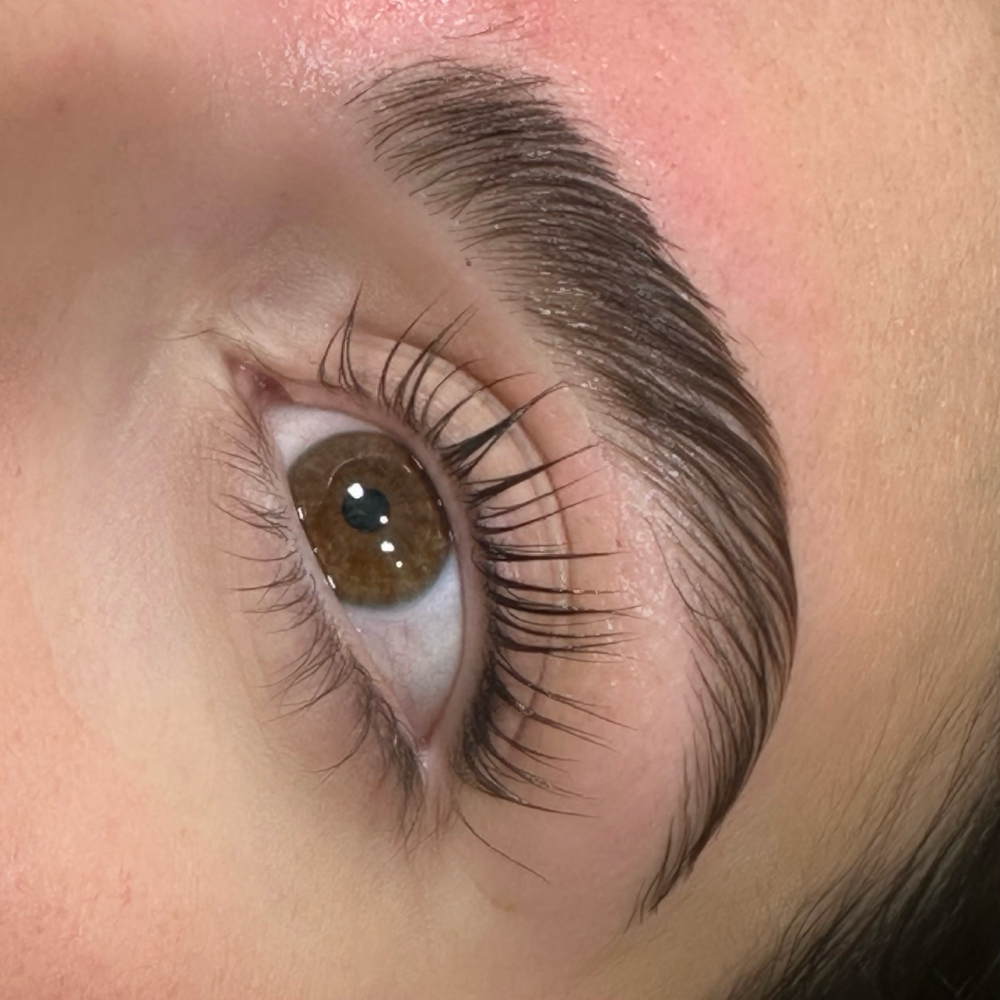 Lash Lift/Tint
