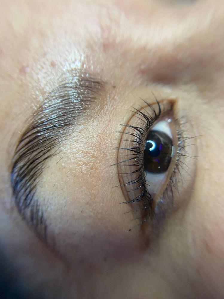 Eye Brow Lamination