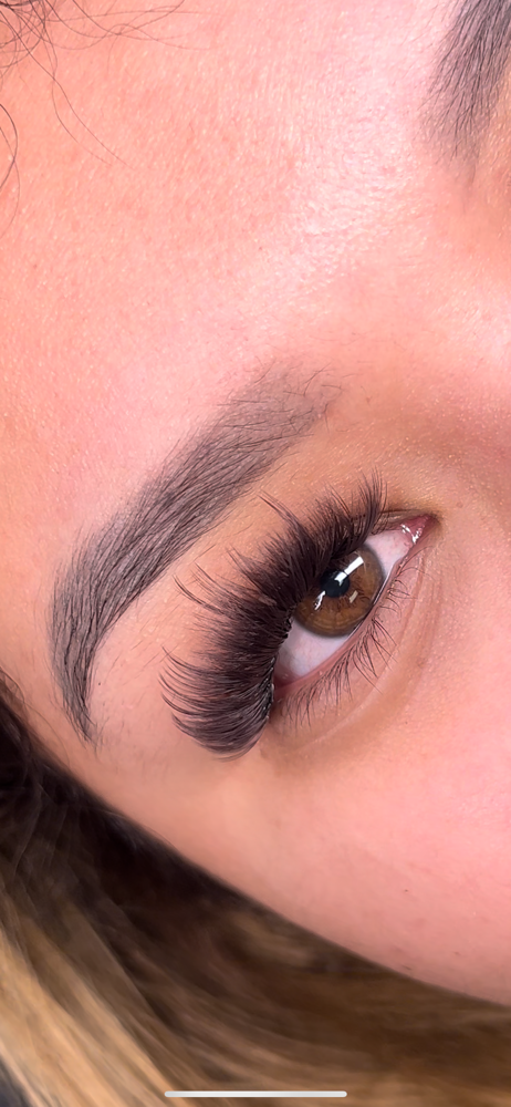 Brown Volume Lash Fill