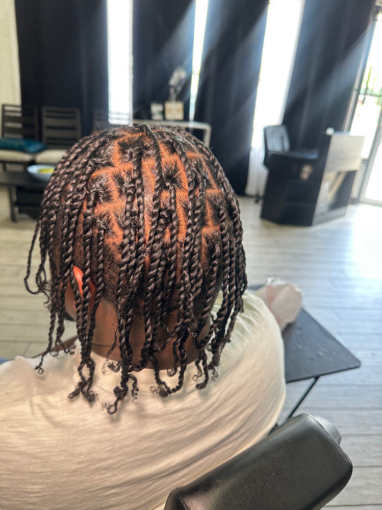 Two Strand Twist (S/M)