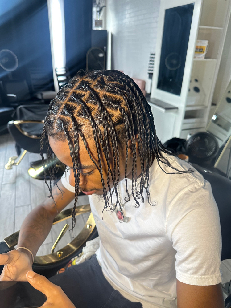 Two Strand Twist (S/M)