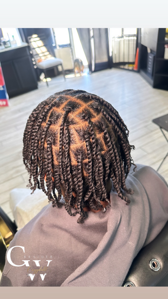 Two Strand Twist (S/M)