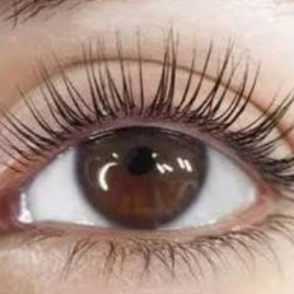 Eyelash Lift & Tint at Anchors Aweigh Spa in Spring, TX
