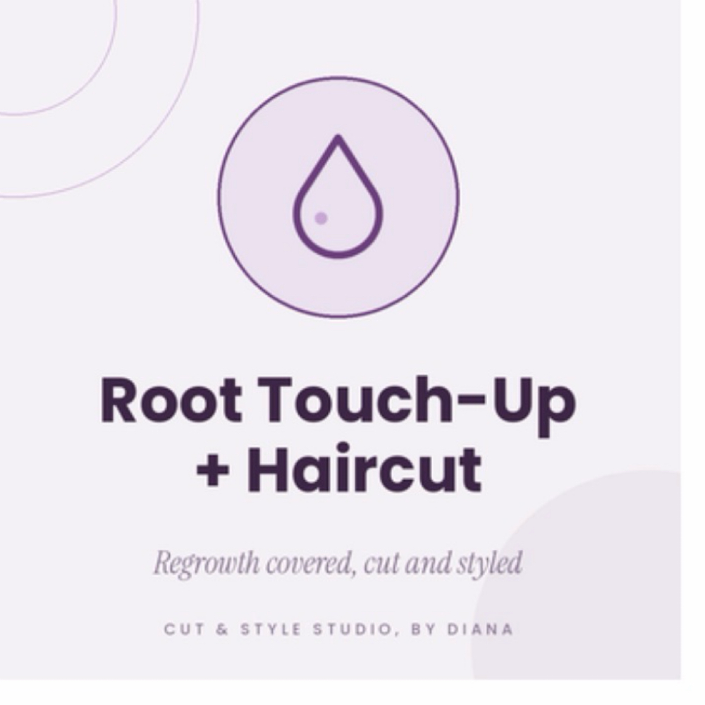 Root Touch-Up + Haircut · at Cut & Style Studio, by Diana in Wadsworth, IL