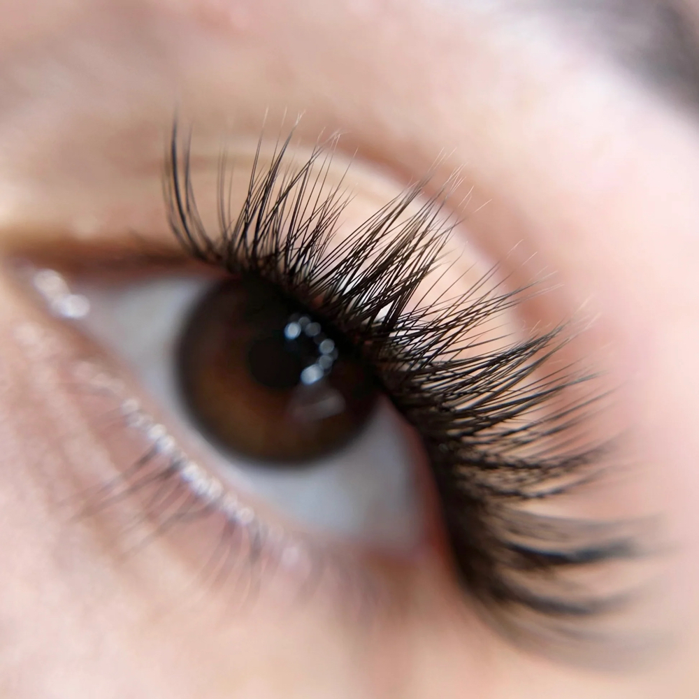 Custer Lashes