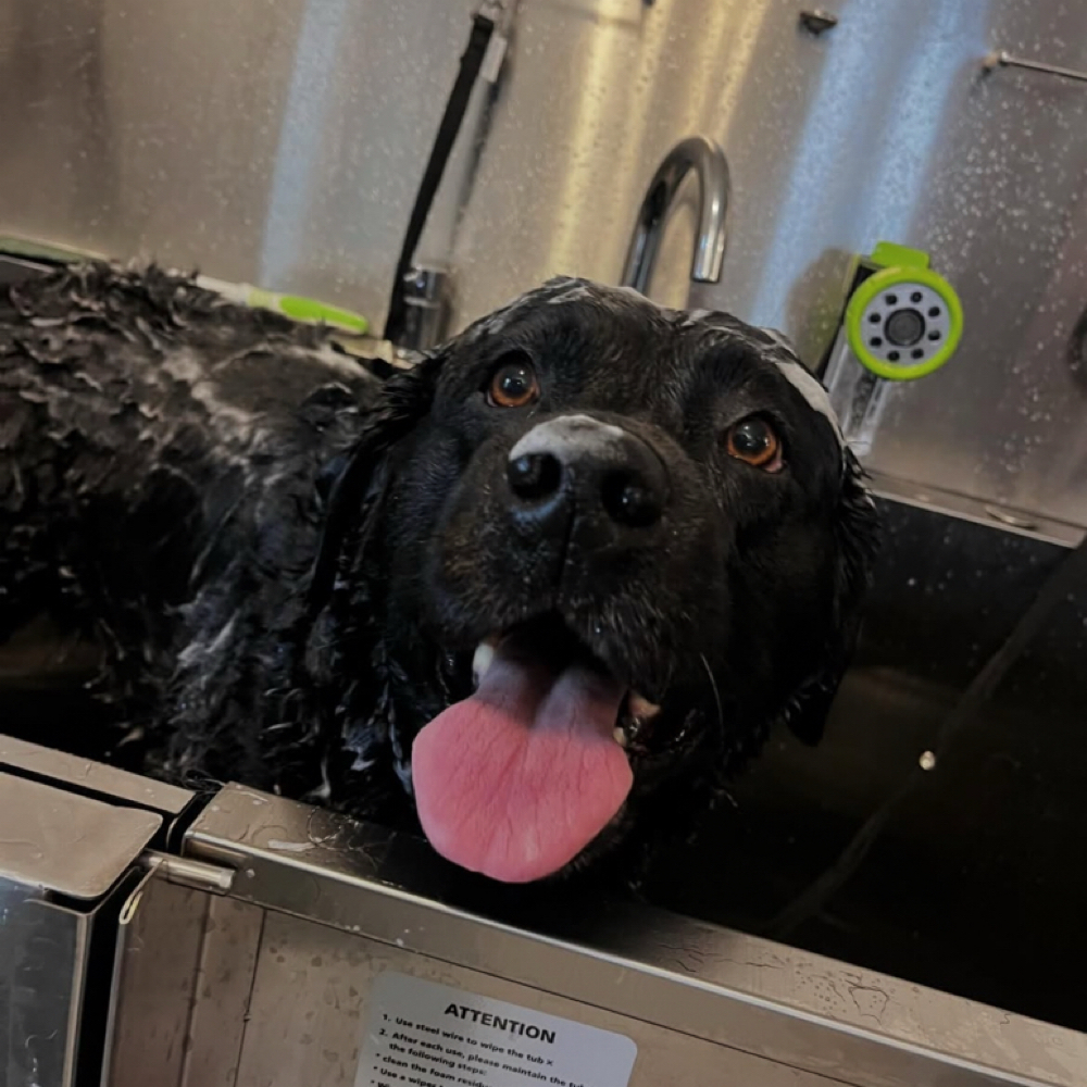 Bath Service at Benny and Moes in Granby, CT