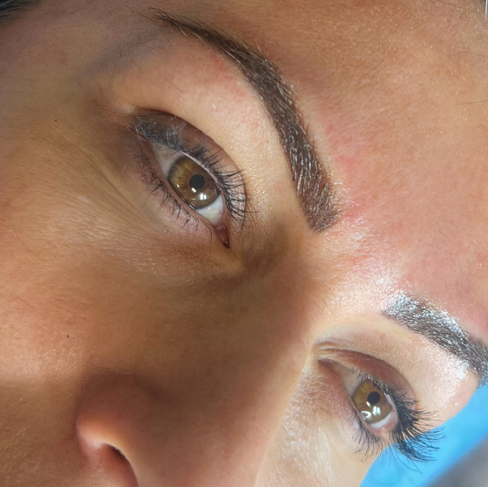 Shading Or Combo Retouch 6-8 Weeks at Nina Beauty&Brows Studio in North Hollywood, CA
