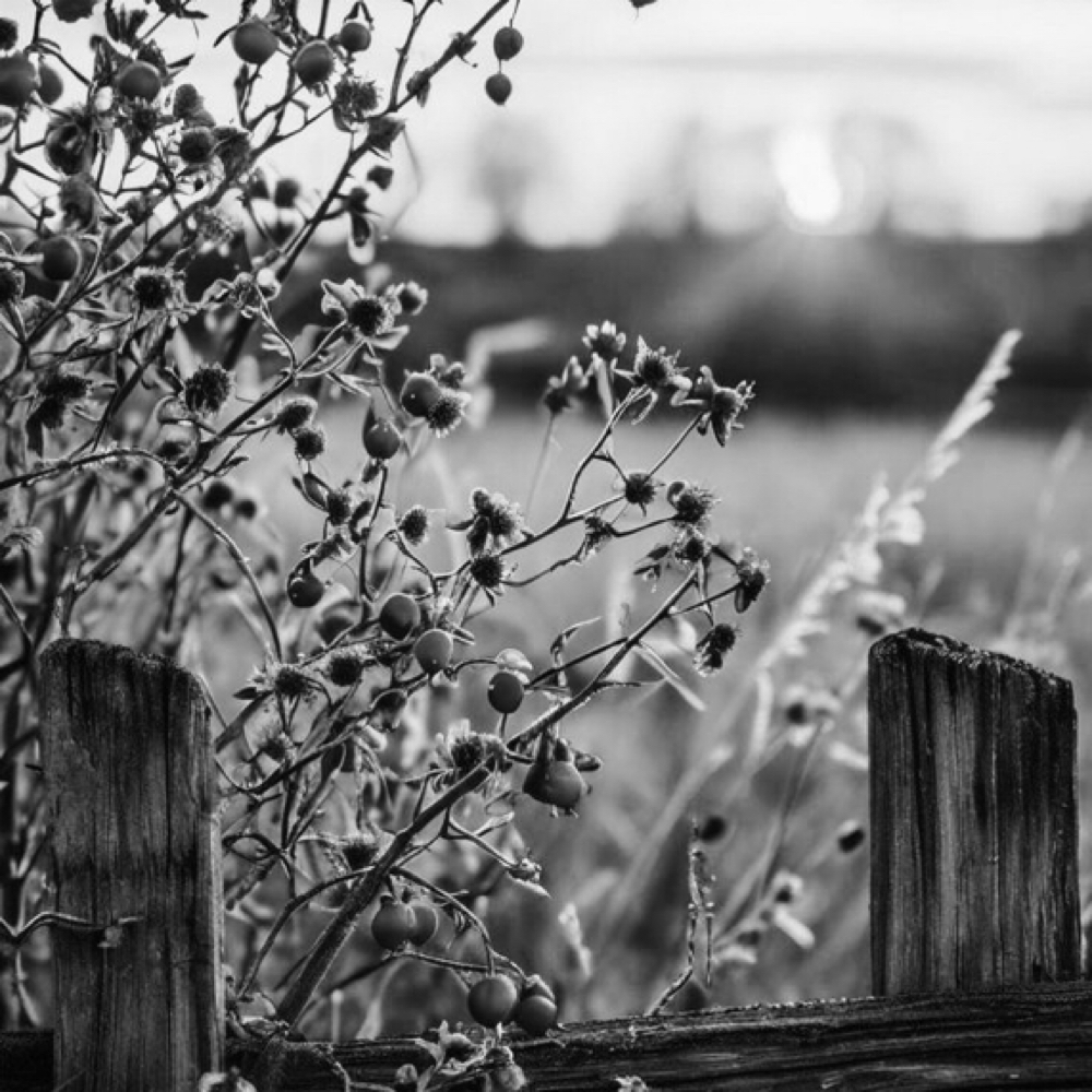 Custom Color Session at Salon Idyll in Rochelle, IL