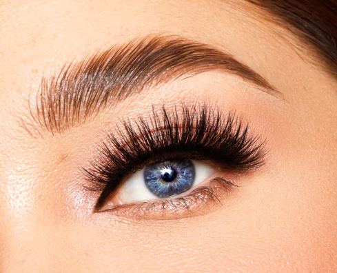 Volume Lash Fill