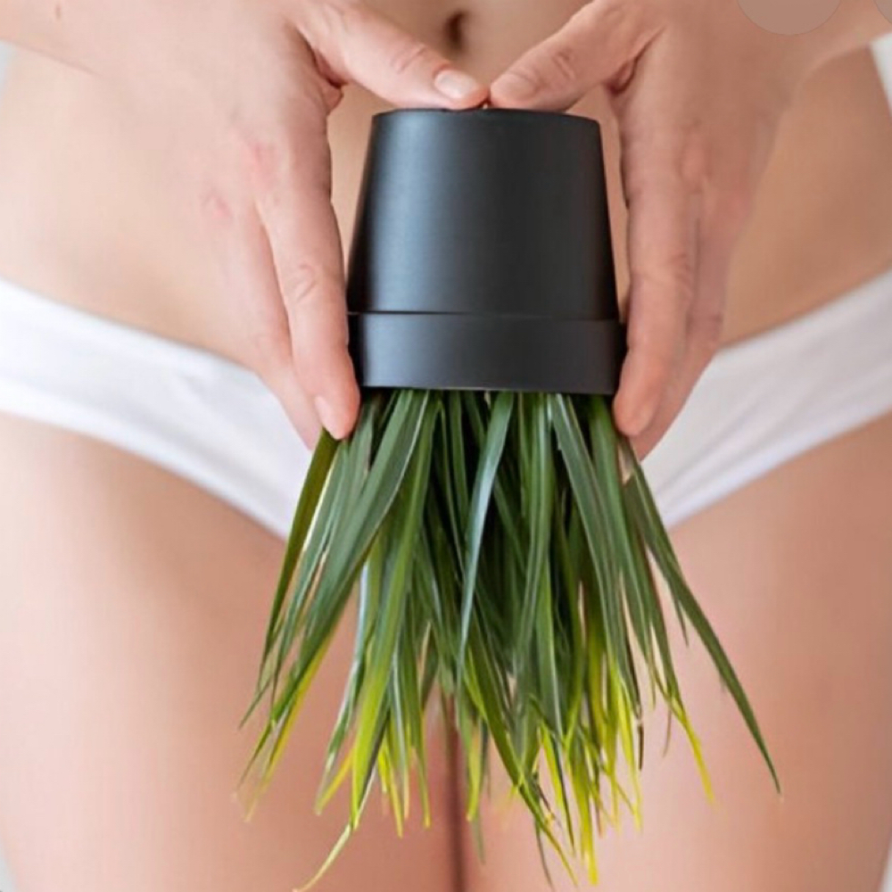 Brazilian Waxing at Prestigious Butterflies in Rocky Mount, NC