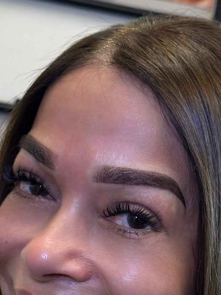 Powder Brows Touch Up at Lash by Gira LLC in yonkers, NY
