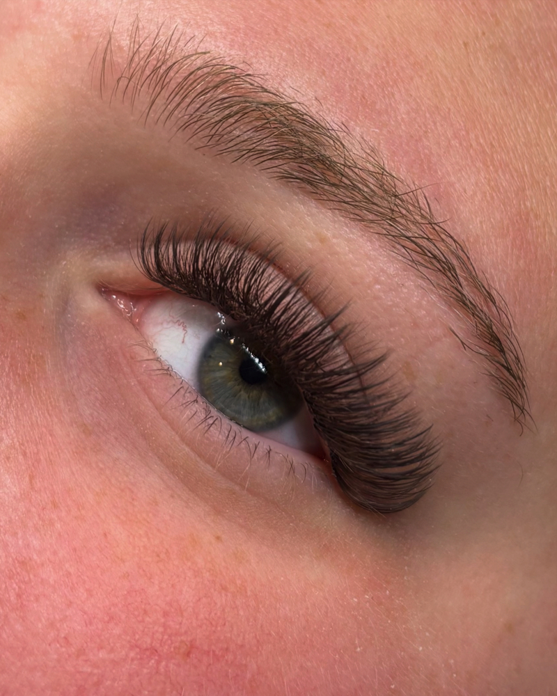 Light Volume Full Set at Lashes by Hailey Paige in Bethpage, NY