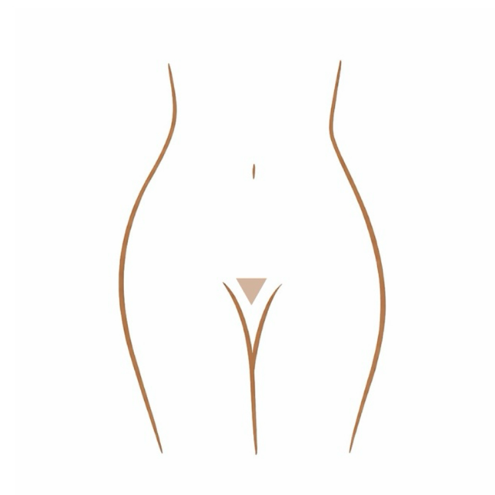 The Clean Bikini at Brown Sugar Theory in El Sobrante, CA