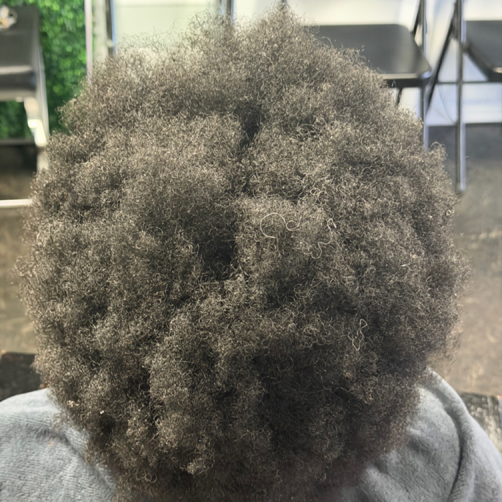 Take Down & Wash/Condition at Xpressions By Xenia Hair Studio in Lakeland, FL