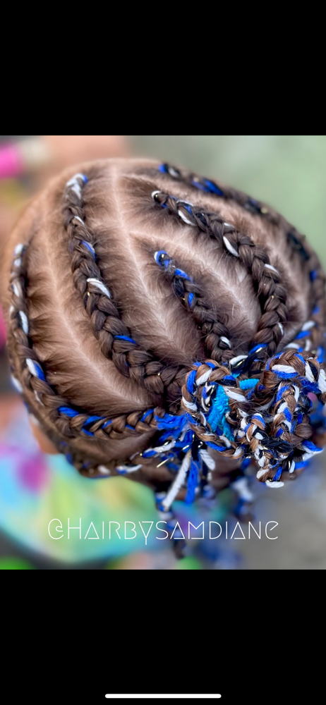 2, 4, Or 6 Braids / Braided Style