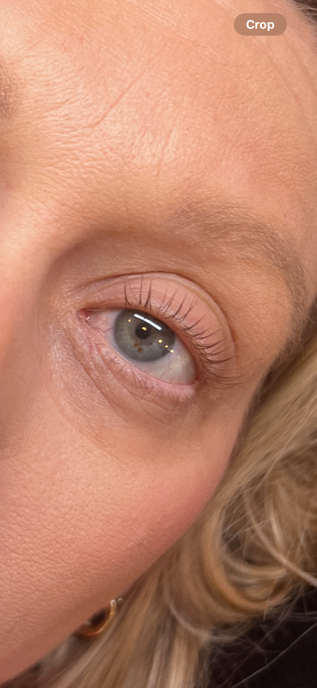 Lash Lift Only