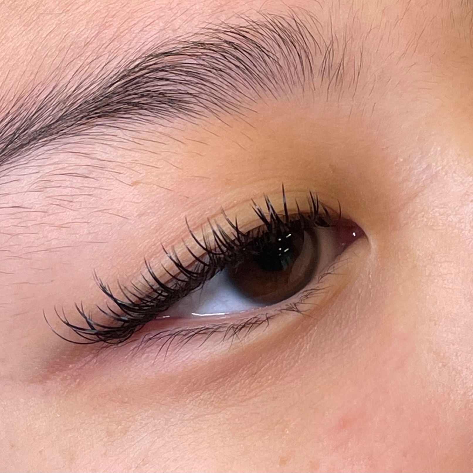 Wet Set Full Set at Sweet Adeline Beauty in Pleasant Hill, CA