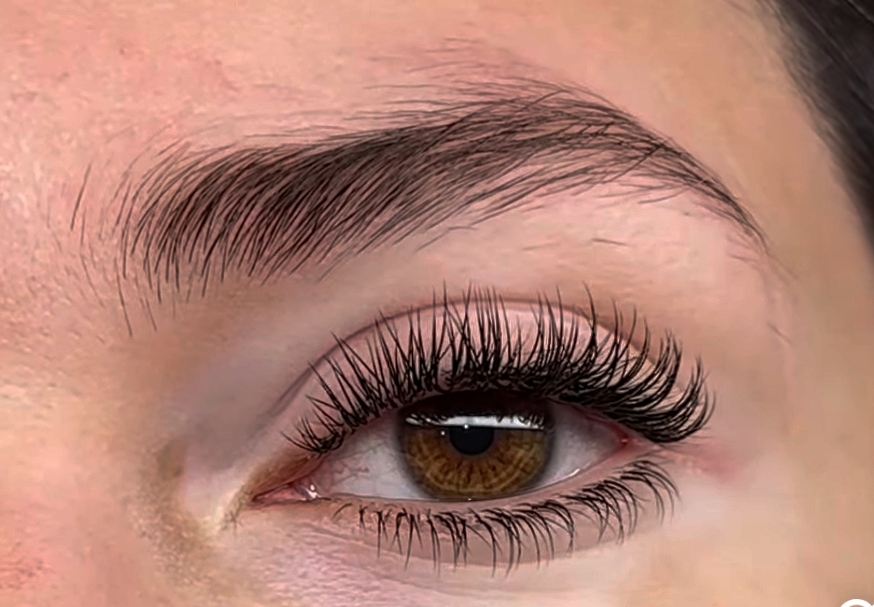 Bottom Lash
