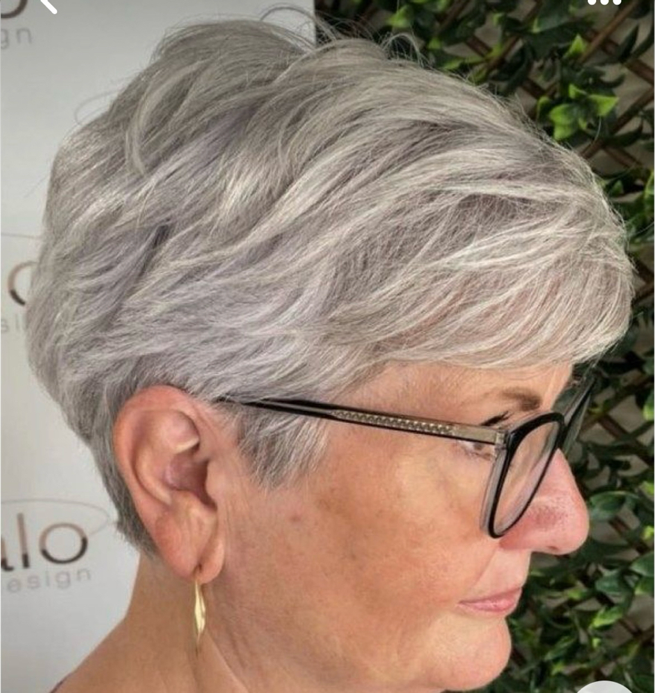 Senior Womans Haircut( Short)/ no shampoo