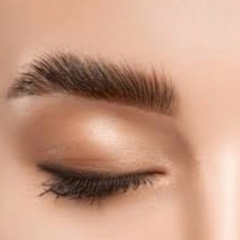 Brow Wax And Tint Package