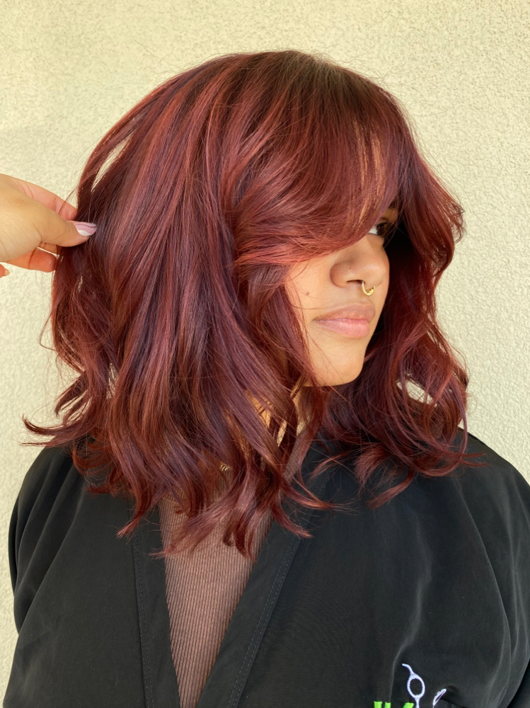All Over Color at Belleza By Dasha in Cherry Hill, NJ