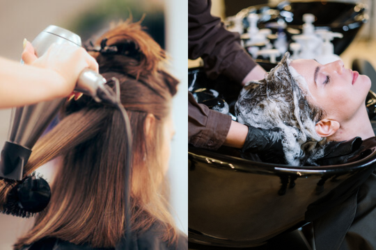 Shampoo And Style