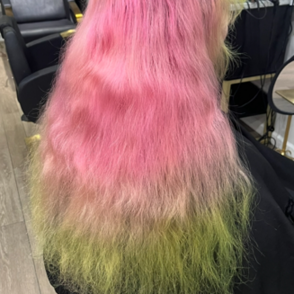Refresh The Look (VIVID Color Ony) at CosmicCosmo @ Hairmosa Salon in Tucson, AZ