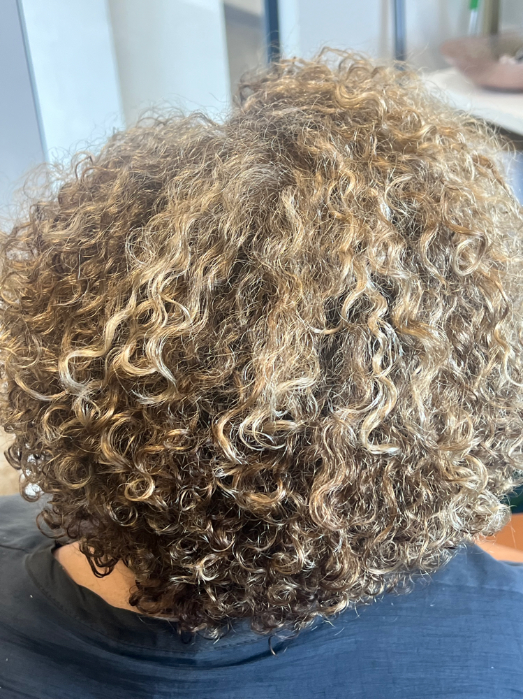 Organic Custom Color (Book With Styling Service)