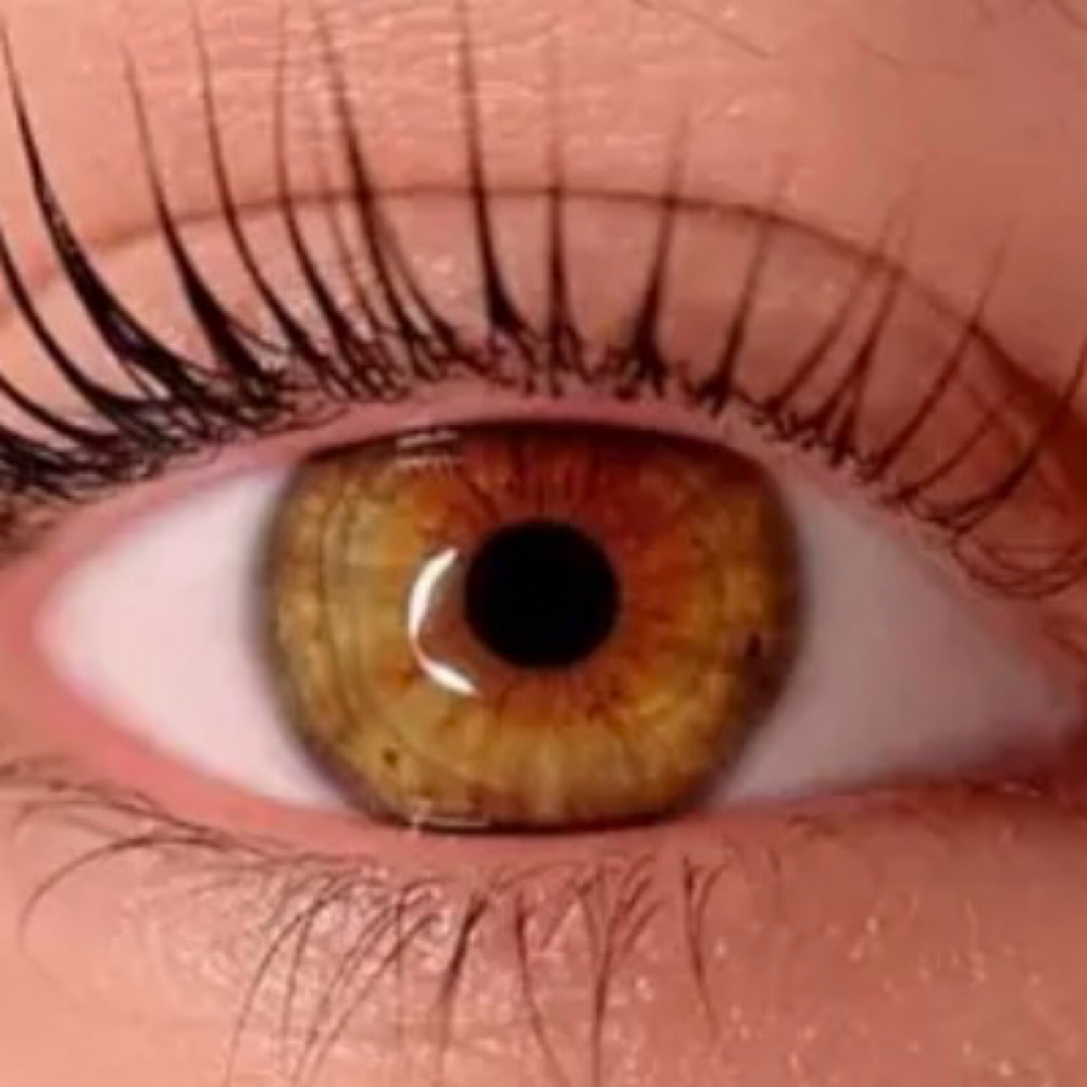 Korean Lash Lift at Skin by Nanouka in Catonsville, MD