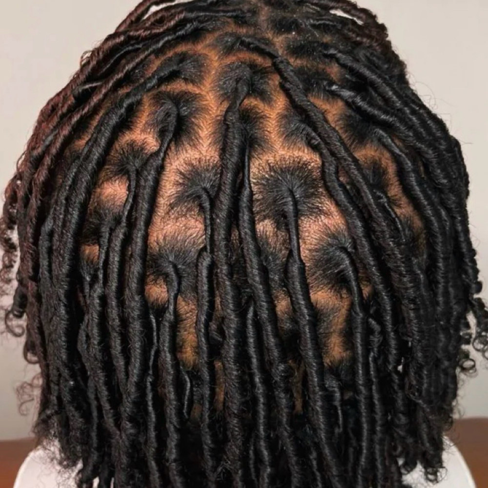 Starter Locs - Comb Coils at Empress Locs in Bloomfield, CT