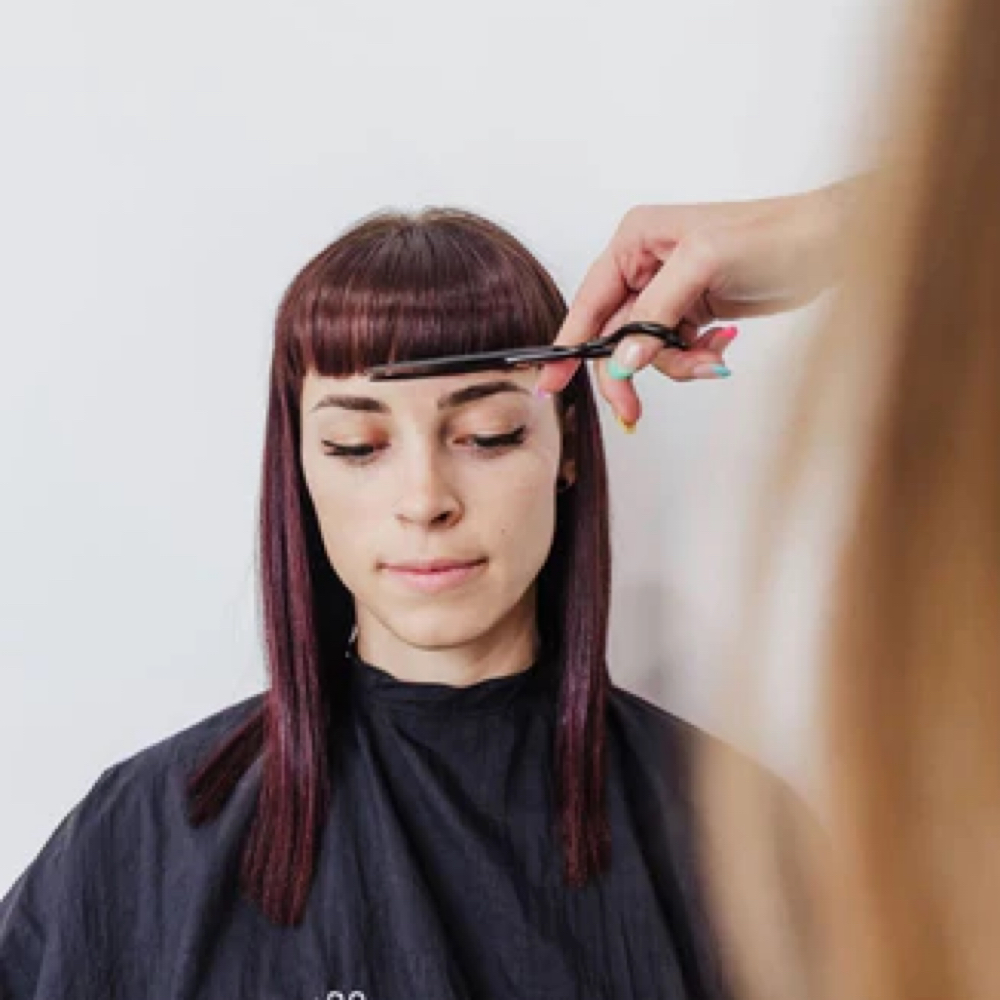 Fringe/Undercut Refresh at Ashley Pitlock in Carson City, NV