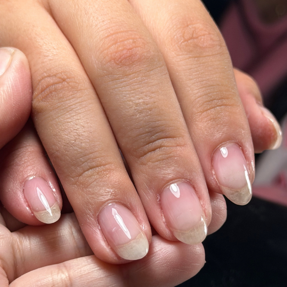Bulider Gel at She Shed Beauty Bar in Mission, TX